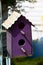 Colorful Purple Birdhouse Hanging in Yard