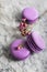 Colorful purple macaroons with flower on a light grey background. Food photo. Food photography. Simplicity. Minimalism.