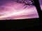 Colorful Purple sunset in the evening with silhouettes of trees and a harmony mood with idyllic panoramic