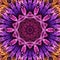 Colorful purple themed mandala
