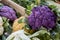 Colorful purple and yellow Cauliflowers in the market