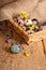 Colorful Quail eggs. Easter still life