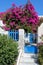 Colorful quiet backyard with beautiful flowers and classic traditional architecture of Santorini island