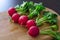 Colorful radishes with green leaves