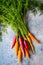 Colorful Rainbow carrot