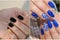 Colorful rainbow collection of nail designs for summer and winte