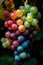 Colorful rainbow grapes with dark background.Generative AI