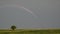 Colorful rainbow on a gray sky over green field and single tree