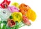 Colorful ranunculus flowers