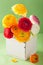 Colorful ranunculus flowers in vase over green background
