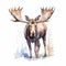 Colorful Realism: Award-winning Moose Painting In Watercolor