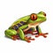Colorful Realism: Cartoon Green Tree Frog Clip Art With Orange Eyes