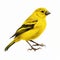 Colorful Realism: Yellow Bird On White Background With Detailed Character Design