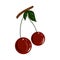 Colorful realistic cherry icon. Idea for decors, damask, spring holidays, nature themes. Isolated vector logo.