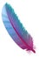 Colorful realistic feather. Decorative tribal bird tail