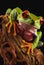 Colorful Red eyed frog colourful