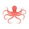 Colorful red octopus, an animal in a water fauna.