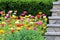colorful red pink yellow orange white bright spring flowers stone steps path