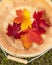 Colorful red and yellow autumn maple leaves in bushel basket. Beautiful fall colors in the country rural farm scenes