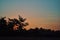 A colorful reddish sunrise in the beach of goa