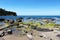 Colorful reef in a sunny day, cefalu, seascape