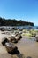 Colorful reef in a sunny day, cefalu, seascape