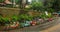 Colorful rental cycles waiting for tour riders on the hill kodaikanal.