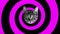 Colorful retro spinning kitten cats animation on a pink spiral swirl background with an analogue interference and grain texture