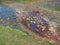 Colorful rhyolit red, orange and yellow boiling water fumarole at Reykjadalur valley grass meadow and geothermal steam