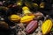 Colorful ripe cacao fruits on the ground