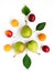 Colorful ripe fruits and leaves - pears, plums, apricots lined in composition on a white background. Fruit Pattern.