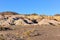 Colorful rocks in the Ischigualasto National Park, Argentina