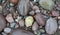 Colorful Rocks of the St. Martins Shoreline on the Bay of Fundy