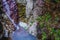 Colorful rocks, water erosion, a small waterfall