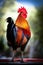 Colorful rooster