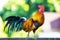 Colorful rooster on wall on blurred green bokeh background