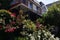 Colorful Rose Bushes in front of Old Brick Homes in Astoria Queens New York