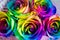 Colorful roses