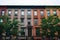 Colorful row houses in Harlem, Manhattan, New York City
