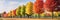Colorful Row Of Trees In A Park Beautiful Park Scenes, Diversity Of Tree Types, Colorful Seasonal Pa