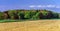 Colorful rural landscape with green fields