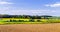 Colorful rural landscape with yellow bittercress fields