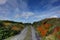 Colorful Rural Road, Ireland