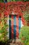 Colorful rustic door covered by lianas