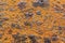 Colorful rustic grunge oxide orange metal texture as background