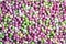 Colorful sago pearls background