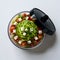 Colorful salad with noodles, tomatoes, cheese cubes, herbs in round transparent container