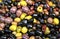 Colorful salted olives at the Carmel Market