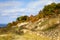 Colorful Sand Dune in Autumn