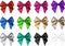 Colorful satin bows isolated on white.